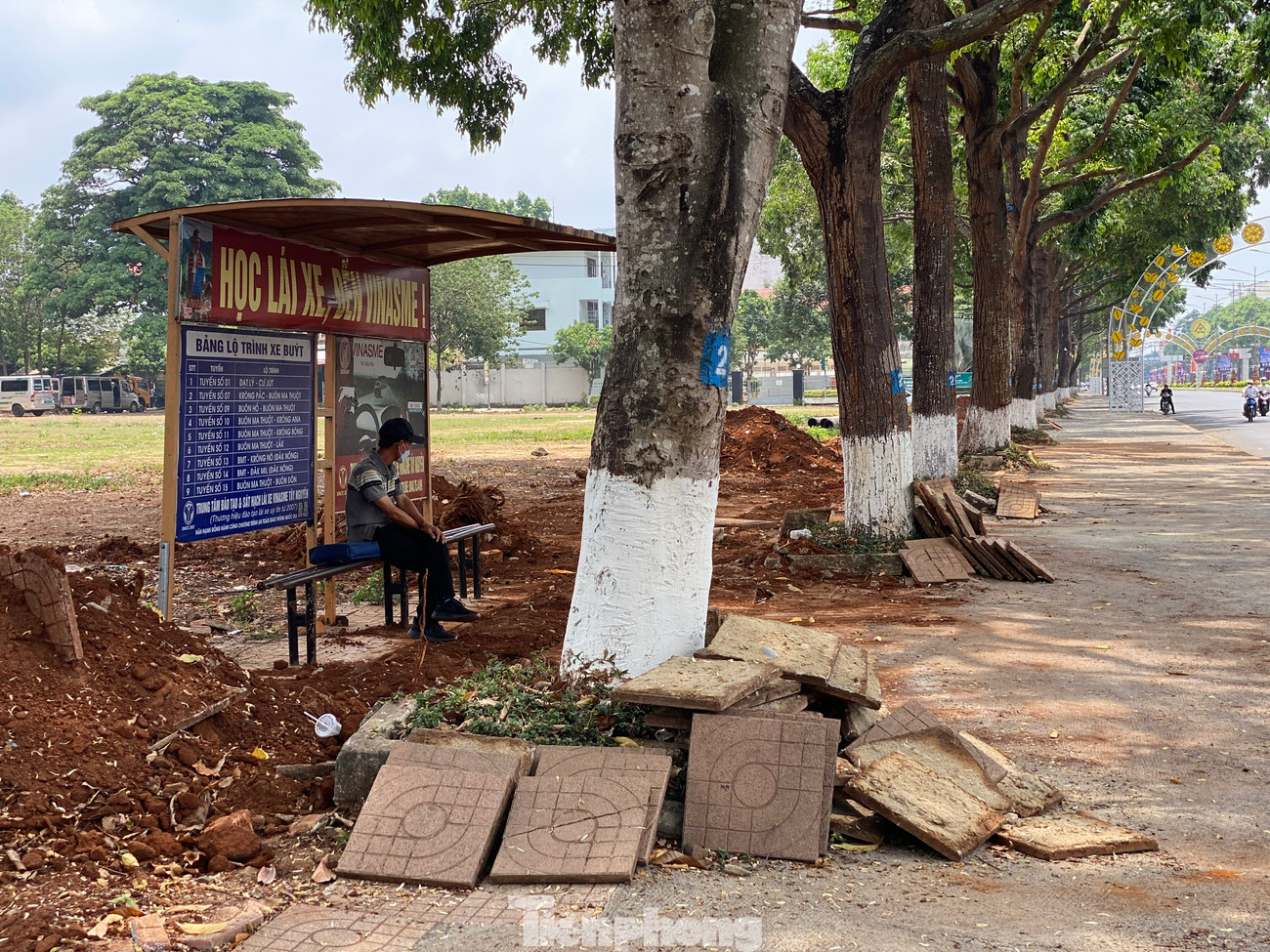 Ông Trần Quốc Việt (SN 1971, huyện Krông Pắc) cho hay, Đắk Lắk đang bước vào mùa mưa nên nguy cơ xảy ra các trận dông lốc, gió lớn kèm mưa to sẽ khiến hàng cây sao bị cắt rễ này dễ đổ ngã. Ông Trần Quốc Việt (SN 1971, huyện Krông Pắc) cho hay, Đắk Lắk đang bước vào mùa mưa nên nguy cơ xảy ra các trận dông lốc, gió lớn kèm mưa to sẽ khiến hàng cây sao bị cắt rễ này dễ đổ ngã.
