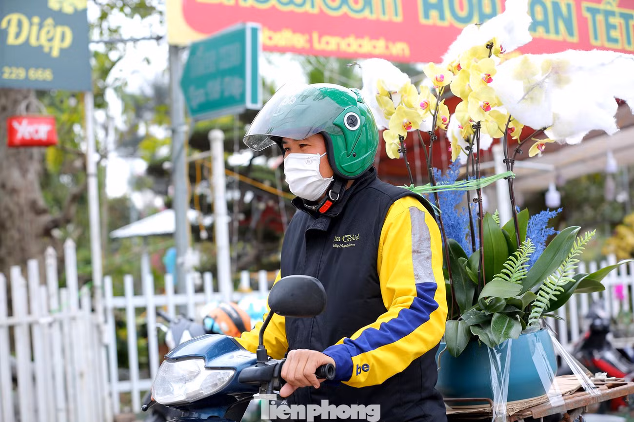 Những bình hoa nhỏ sẽ được vận chuyển trên xe máy, với những chậu lan "khủng" sẽ được đưa lên ô tô tải có thùng kín để chở về nhà cho khách, đảm bảo hoa không bị hỏng trong quá trình vận chuyển.