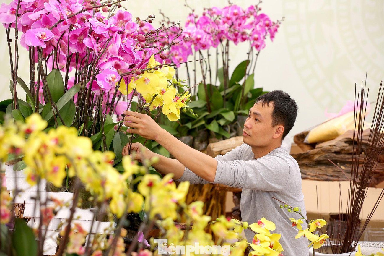 Theo các chủ cửa hàng, những bình hoa lan hồ điệp này được cắm cầu kỳ, đẹp và độc đáo có giá khoảng 150 triệu đồng. Nếu có khách hàng hỏi mua sẽ có nghệ nhân về cắm hoa tại nhà theo yêu cầu của khách.