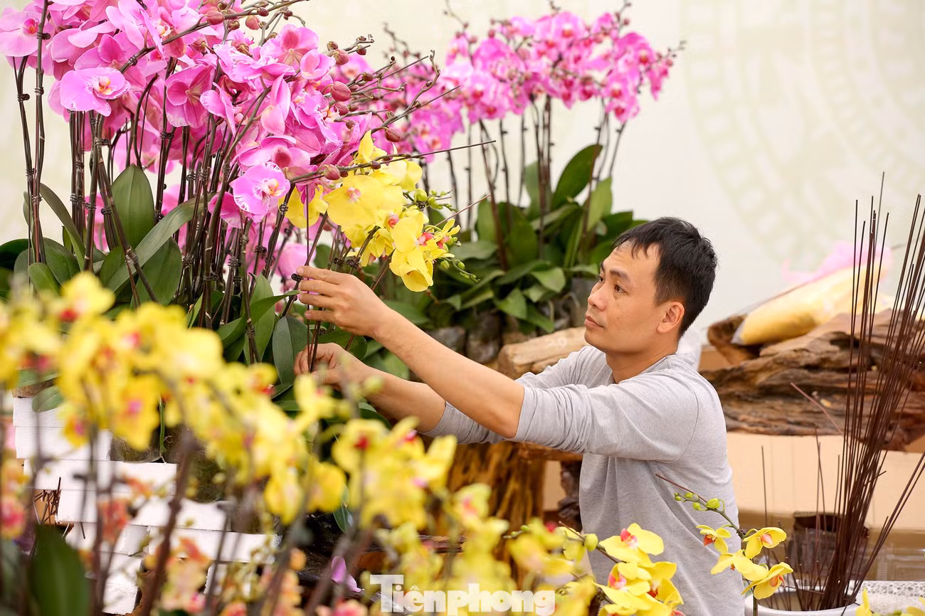Theo các chủ cửa hàng, những bình hoa lan hồ điệp này được cắm cầu kỳ, đẹp và độc đáo có giá khoảng 150 triệu đồng. Nếu có khách hàng hỏi mua sẽ có nghệ nhân về cắm hoa tại nhà theo yêu cầu của khách.