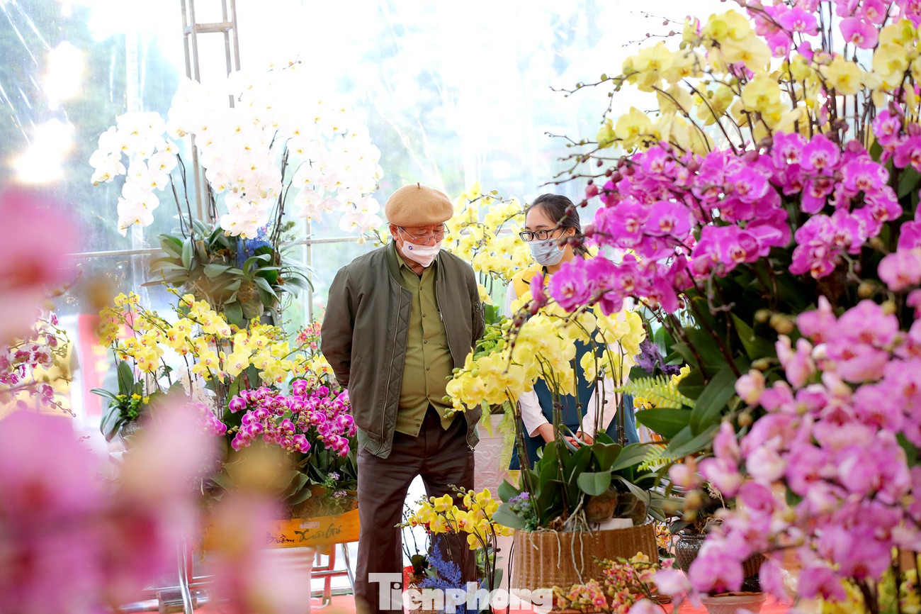 Nhiều khách hàng dành cả buổi chiều để đi thưởng hoa và chọn cho mình những bình hoa lan hồ điệp ưng ý nhất.
