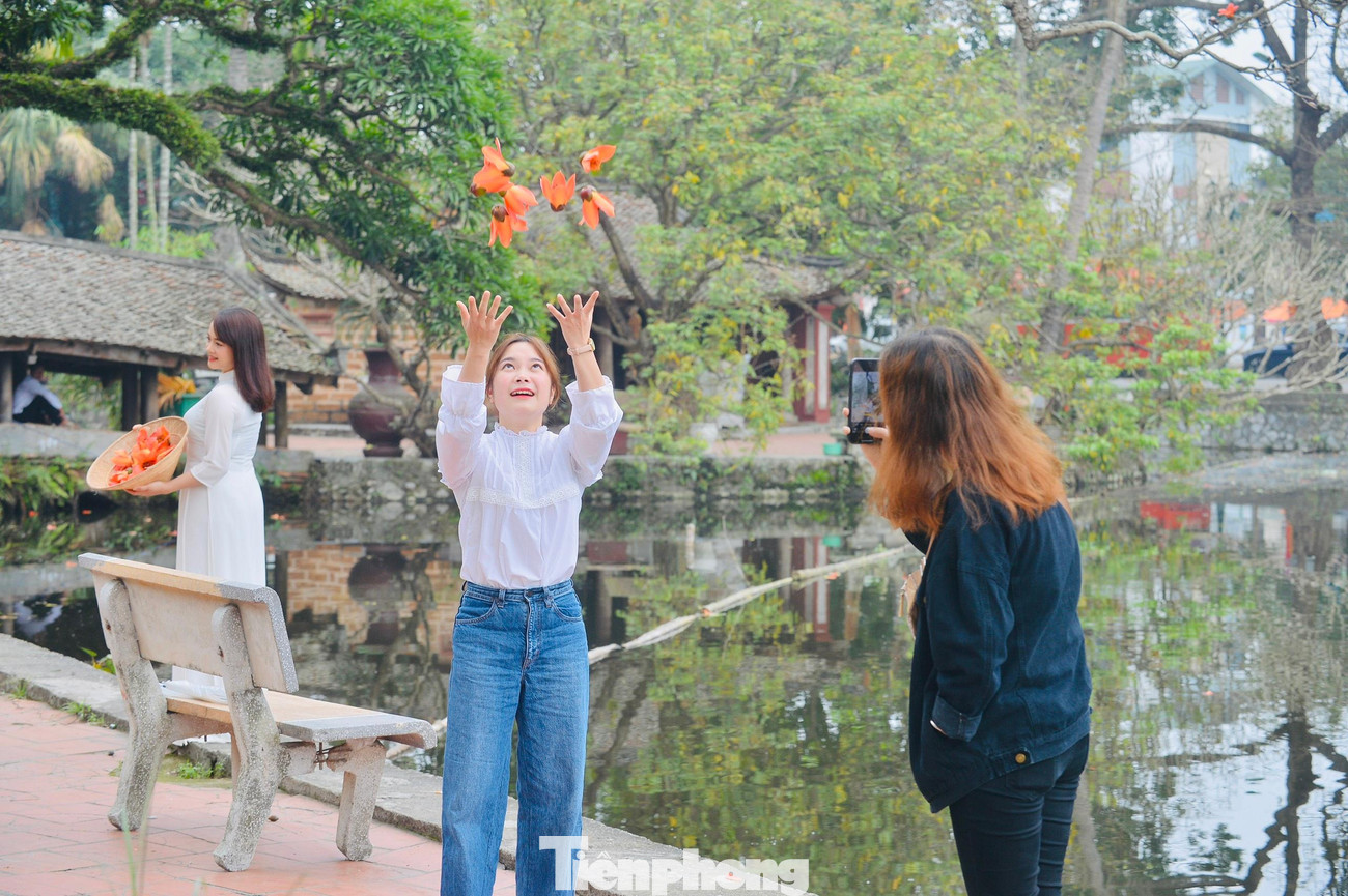 Rất nhiều người đã tìm tới đây để chụp ảnh check-in với cây gạo đặc biệt này.