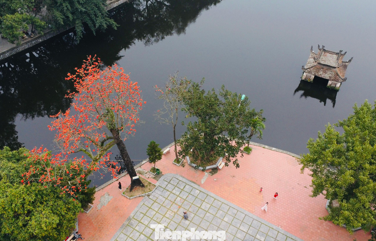 Tháng 3, cây gạo cổ thụ ở Chùa Thầy (Quốc Oai, Hà Nội) bắt đầu nở hoa, thắp lên những sắc đỏ rực rỡ trong không gian ngôi chùa cổ kính nghìn năm tuổi.