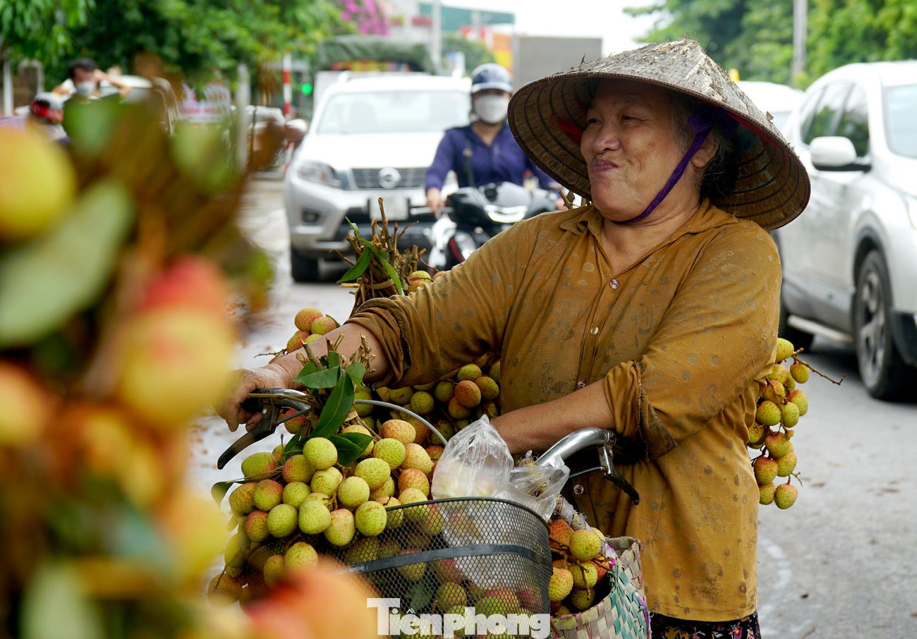 Dự kiến lượng tiêu thụ vải Thanh Hà năm nay sẽ sớm đạt trên 7000 tấn, giá bán của loại vải u trứng trắng là 180.000/kg, vải u hồng được bán ra với giá từ 40.000 - 60.000/kg tuỳ theo chất lượng.