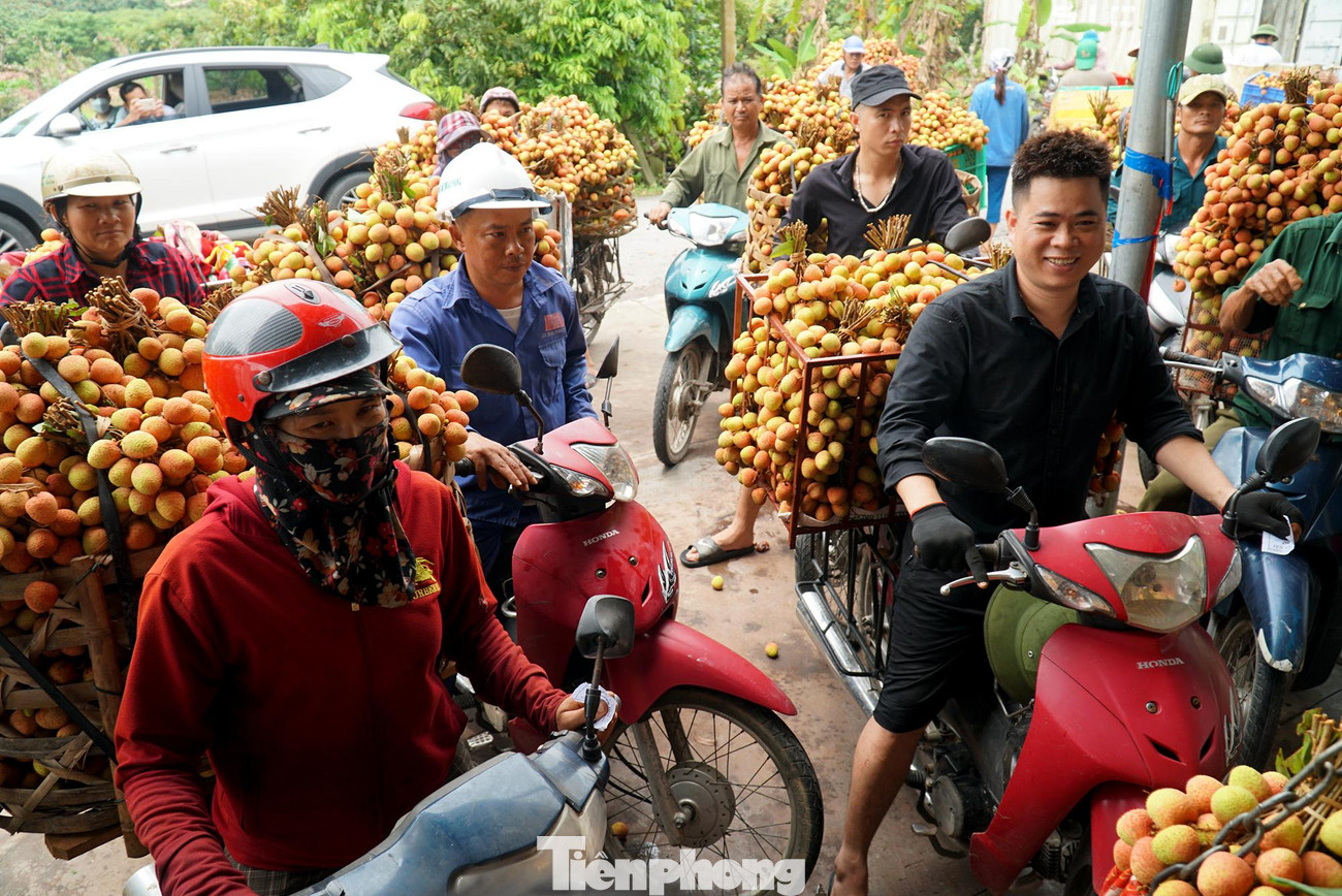 Anh Hùng cho biết: &quot;Vải năm nay mẫu mã đẹp, từ sáng đến giờ tôi chở được hơn 10 xe rồi, bán được giá cao nên ai nấy đều vui mừng. Chỉ trong vài ngày, hơn 2 sào vải u hồng nhà tôi đã được bán sạch với giá dao động từ 35.000 - 40.000/kg&quot;.