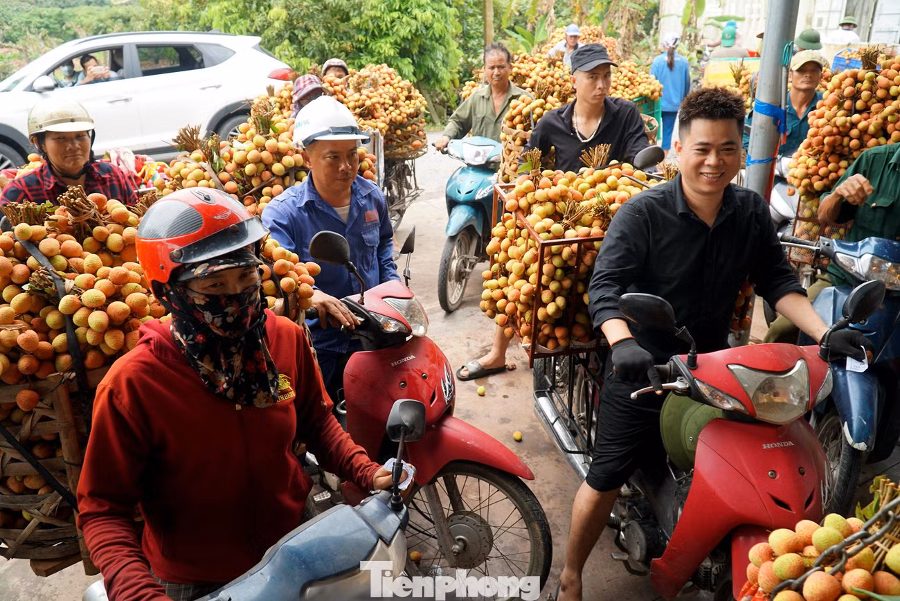 Anh Hùng cho biết: "Vải năm nay mẫu mã đẹp, từ sáng đến giờ tôi chở được hơn 10 xe rồi, bán được giá cao nên ai nấy đều vui mừng. Chỉ trong vài ngày, hơn 2 sào vải u hồng nhà tôi đã được bán sạch với giá dao động từ 35.000 - 40.000/kg".
