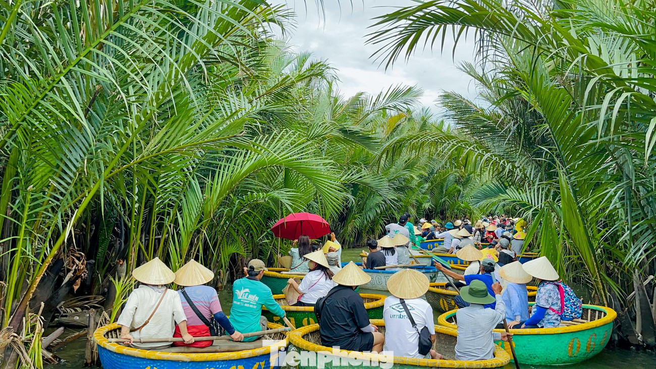 Khu du lịch rừng dừa Bảy Mẫu, hay còn gọi là rừng dừa Cẩm Thanh là điểm đến hoàn toàn mới mẻ ở Hội An, chỉ cách phố cổ chừng 3km.