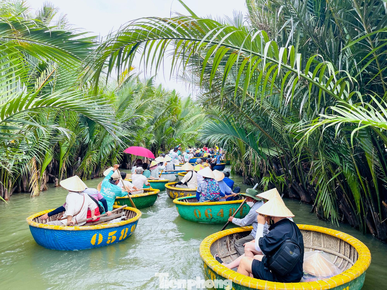 Du khách được đưa đi tham quan rừng dừa bằng những chiếc thuyền, thúng độc lạ và vô cùng dễ thương.
