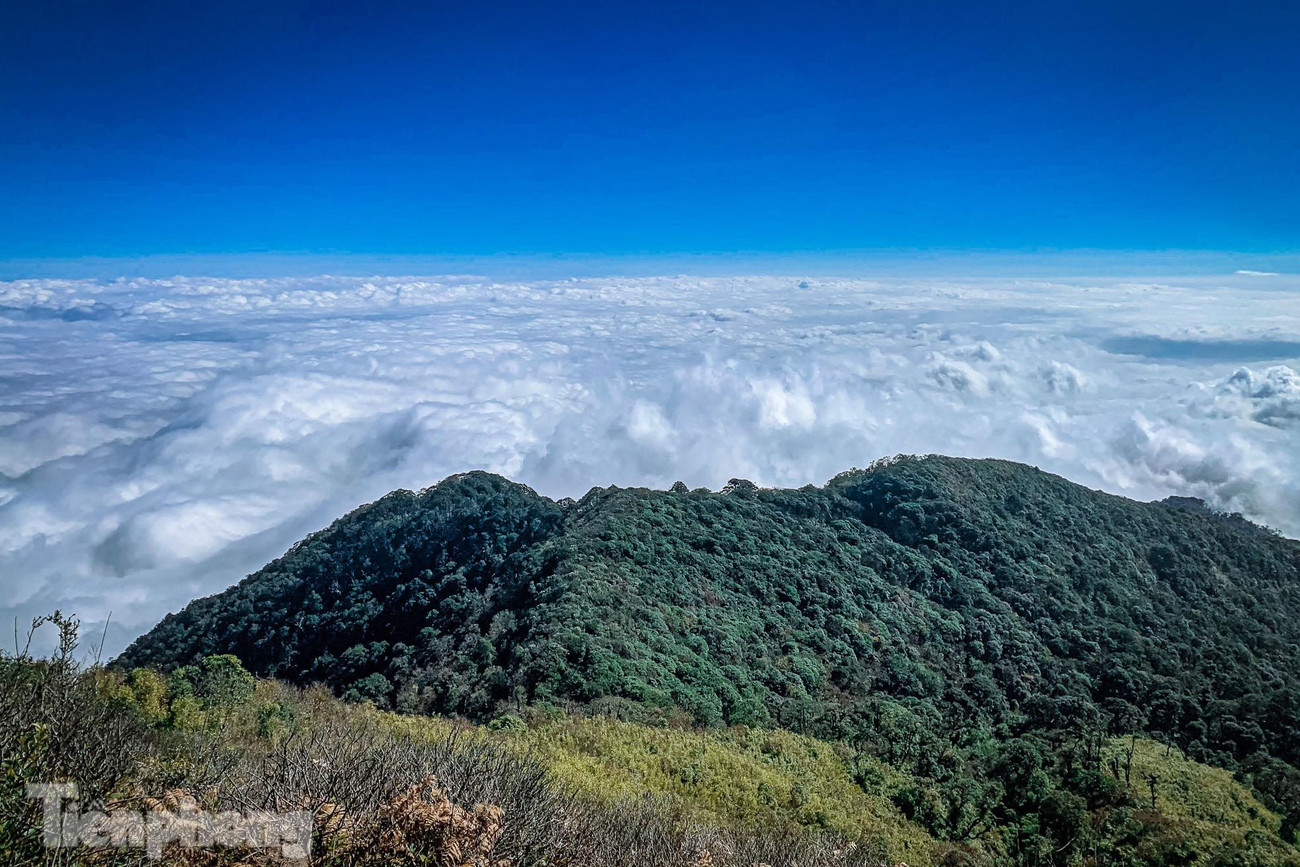 Đỉnh Lảo Thẩn cao 2.826m so với mực nước biển, được coi là "nóc nhà" Y Tý, nằm trong số 15 đỉnh núi cao nhất Việt Nam. Lảo Thẩn mê hoặc tín đồ xê dịch bởi vẻ đẹp của vùng cao hoang sơ, thiên nhiên thơ mộng trong làn sương giăng kín, đặc biệt là biển mây bồng bềnh trên đỉnh núi.