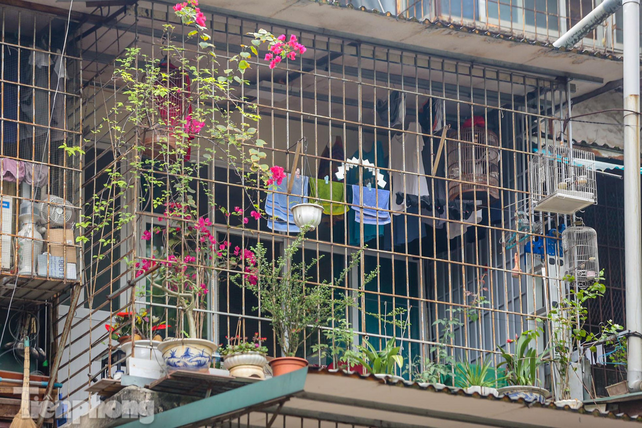 Theo người dân chia sẻ, các hộ dân hay cơi nới, làm chuồng cọp, quây lại để tránh trộm cắp.