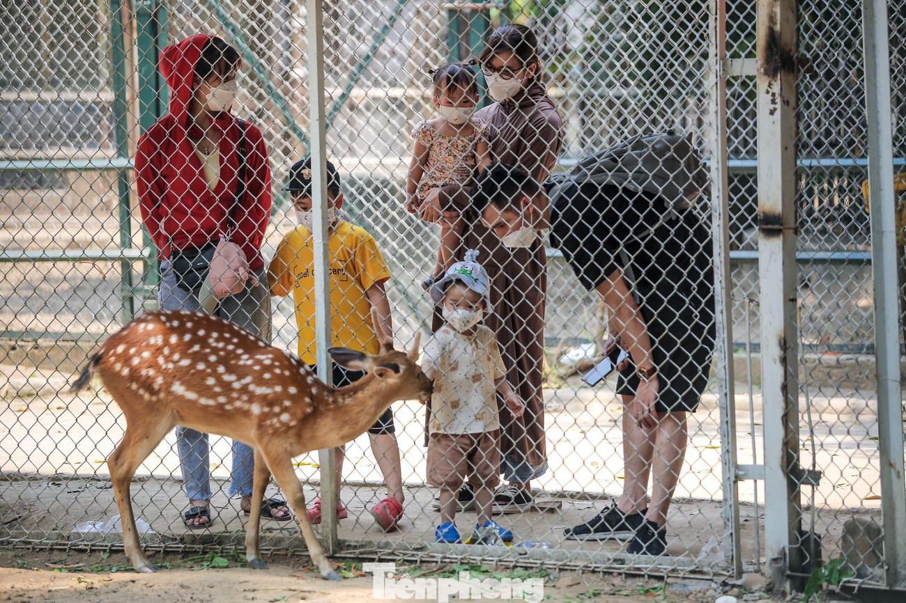 Nhiệt độ chưa cao nên lượng người đến công viên càng đông đúc.