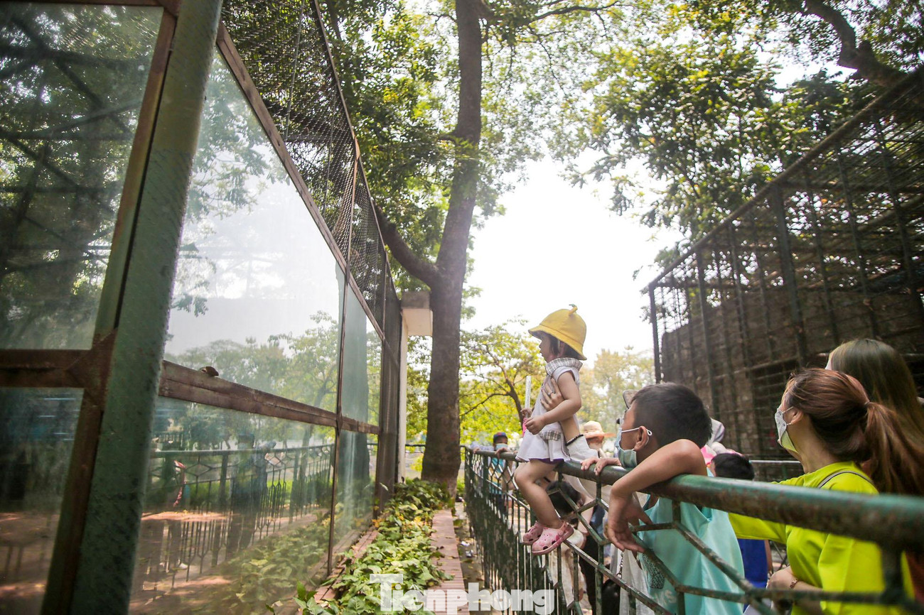 Dịp nghỉ lễ là thời điểm thích hợp để nhiều gia đình sum vầy, có thời gian quan tâm đến con cái.