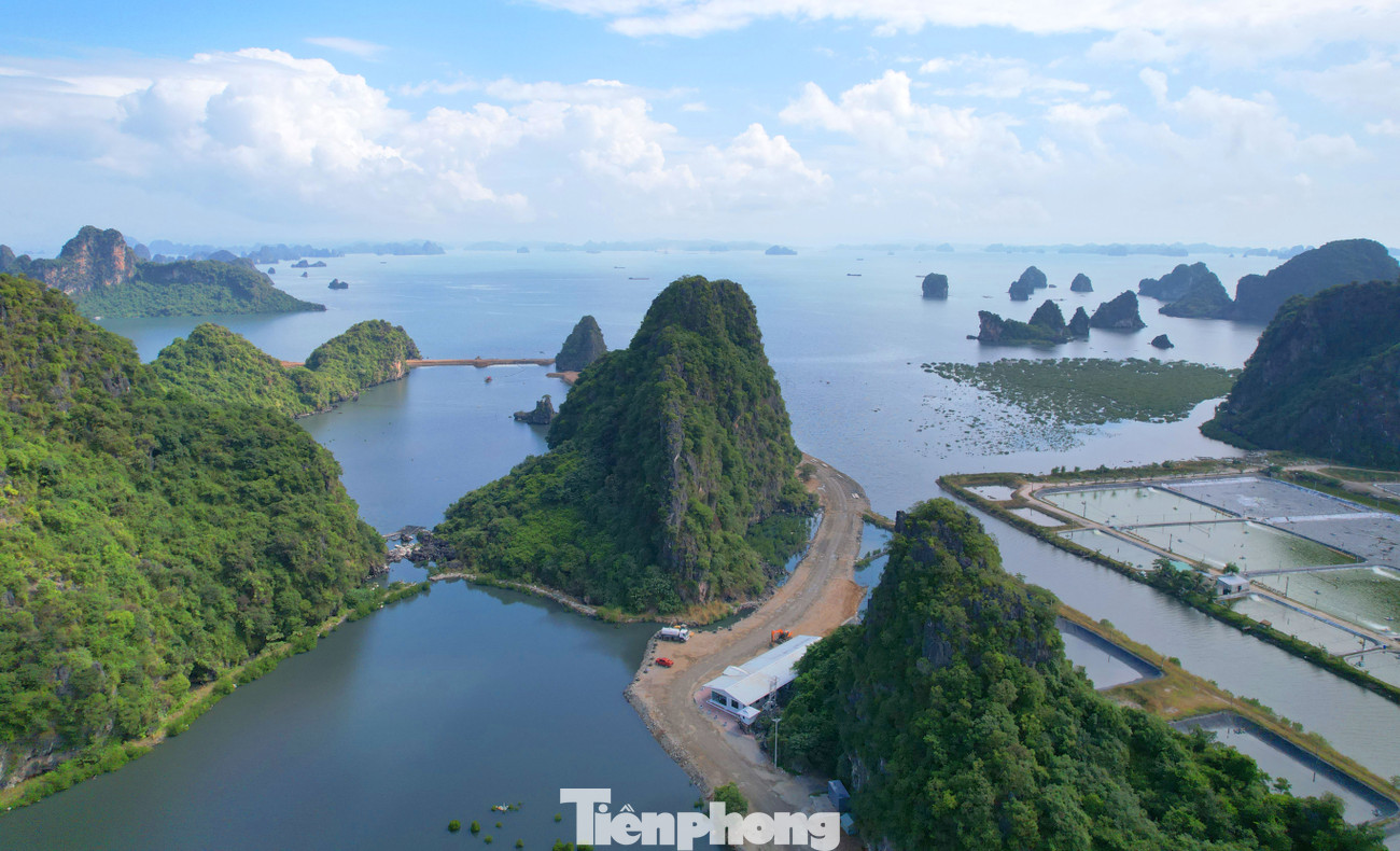 Theo tìm hiểu, đây là dự án Khu đô thị 10B, được UBND tỉnh Quảng Ninh phê duyệt năm 2021. Hiện dự án đang được triển khai thực hiện.