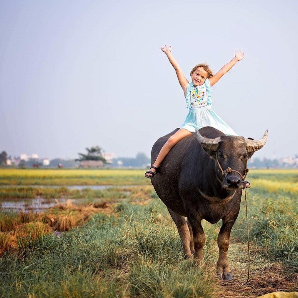 Bé Emily ở Hội An, Việt Nam. Bà mẹ nghỉ việc đưa con gái 6 tuổi du lịch khắp thế giới ảnh 5