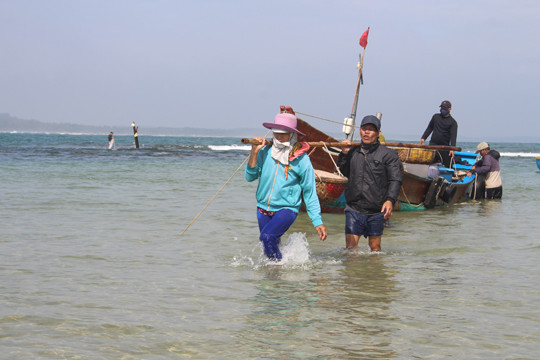 Giáp Tết ngư dân Quảng Ngãi trúng đậm 'lộc biển' ảnh 8