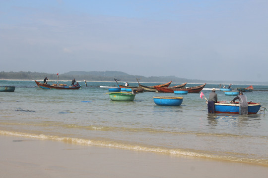 Giáp Tết ngư dân Quảng Ngãi trúng đậm 'lộc biển' ảnh 10