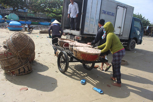 Giáp Tết ngư dân Quảng Ngãi trúng đậm 'lộc biển' ảnh 9