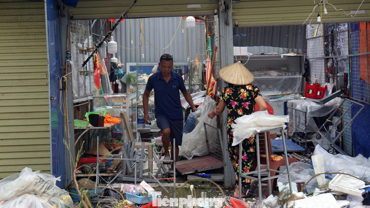 Ông Toàn (55 tuổi, ở thị trấn Cát Bà) cho biết, chưa từng chứng kiến cơn bão nào có sức tàn phá khủng khiếp như vậy. Theo ông, các hộ kinh doanh dịch vụ, các nhà hàng, khách sạn và cả nhà dân bị thiệt hại nặng nề về cơ sở hạ tầng, kiệt quệ về kinh tế.