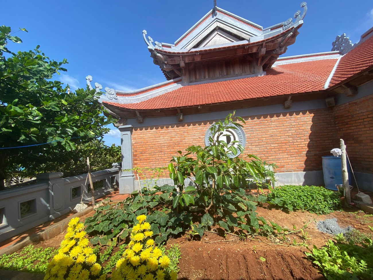 Khoảnh đất trồng rau của Đại Đức Thích Quy Nghĩa tại chùa Trường Sa Đông Khoảnh đất trồng rau của Đại Đức Thích Quy Nghĩa tại chùa Trường Sa Đông