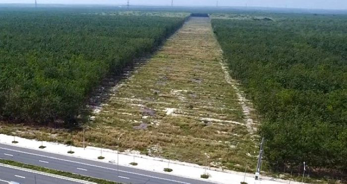 Dự án đường cao tốc TPHCM - Thủ Dầu Một - Chơn Thành đoạn giao với đường tạo lực Bắc Tân Uyên - Phú Giáo - Bàu Bàng (Bình Dương)