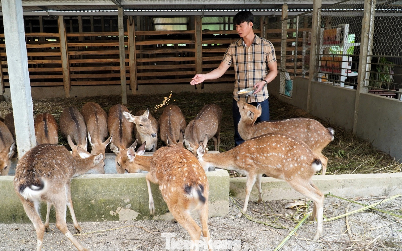 Anh Nguyễn Hồng Tiệp mong muốn cần đẩy mạnh các chương trình hỗ trợ kiến thức, kỹ năng số, kết nối nguồn vốn... hỗ trợ thanh niên.