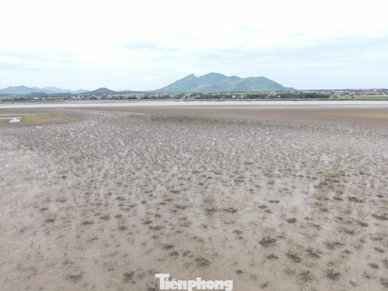 Rừng phòng hộ ven biển này rộng 43 ha thuộc địa bàn 2 thôn Tây Hà và Bắc Hà (xã Kỳ Hà) được trồng từ năm 1994 nhằm tạo mô hình sinh thái ven biển, chắn sóng, chống sạt lở đất ven biển, bảo vệ tuyến đê Hải Hà Thư. Bên cạnh đó, đây còn là nơi neo đậu của tàu thuyền.