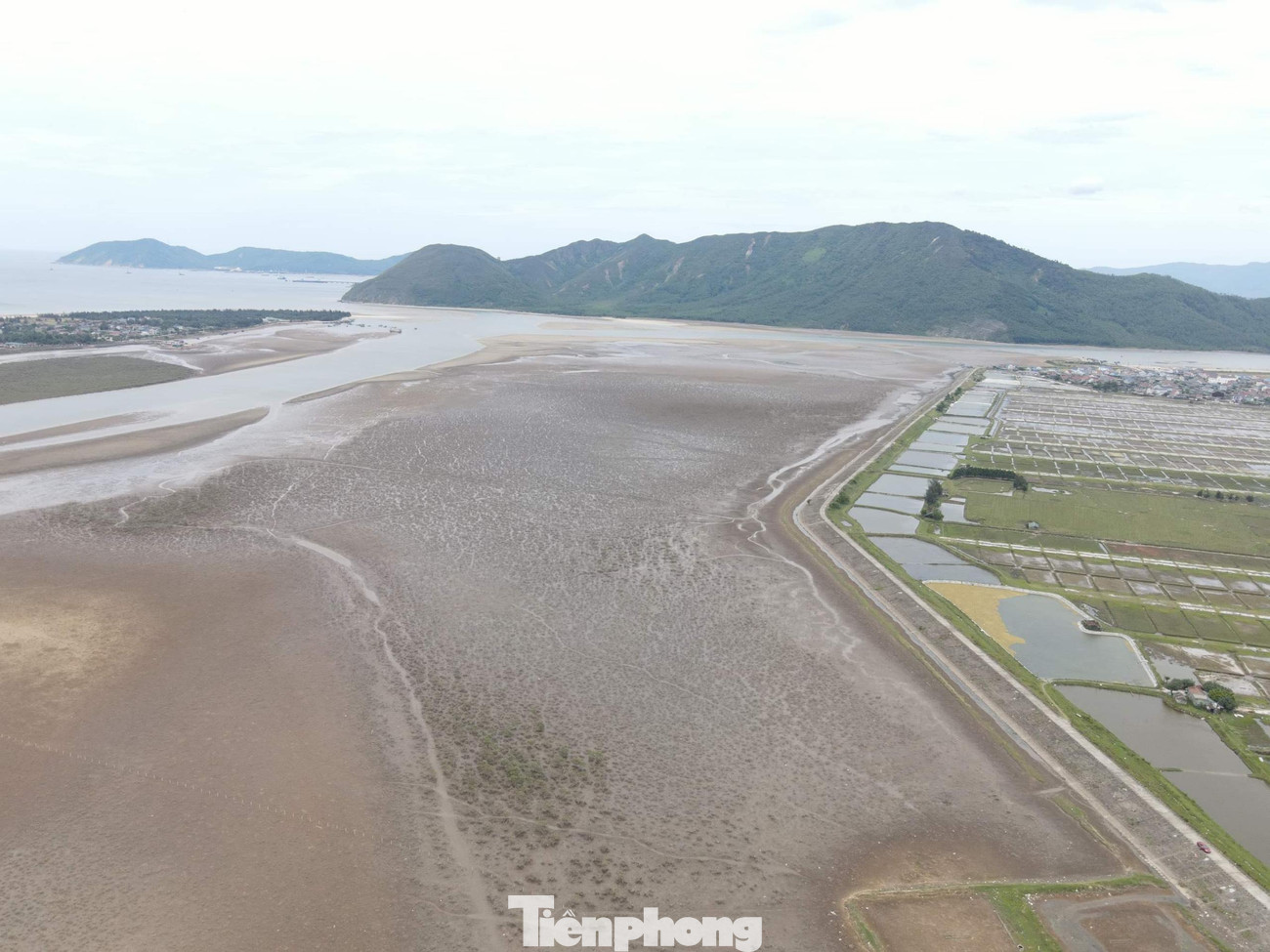 Theo phản ánh của người dân, những ngày gần đây, nhiều diện tích rừng ngập mặn phòng hộ ven biển ở xã Kỳ Hà (TX Kỳ Anh) đột ngột chết khô hàng loạt, khó có thể phục hồi.