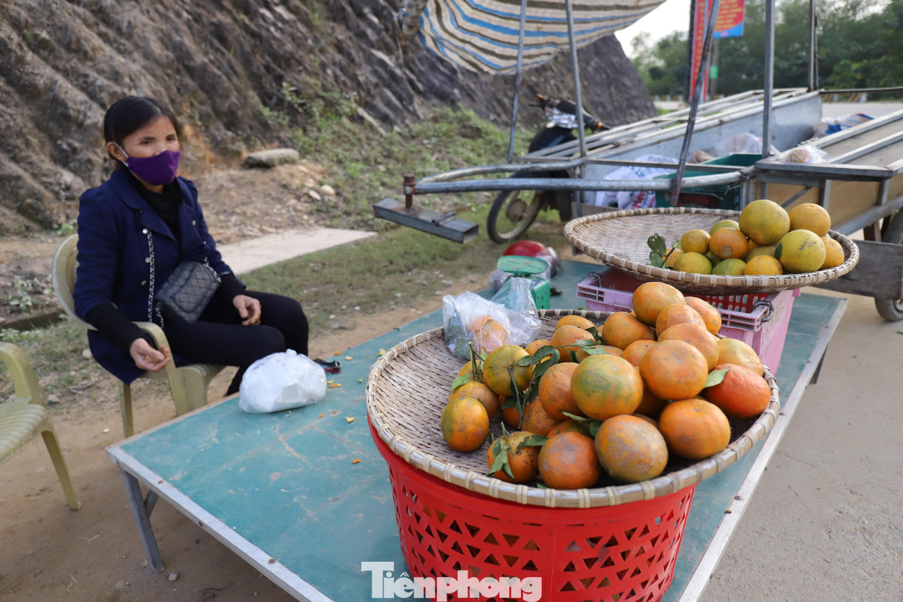 Ông Phan Xuân Đức - Phó trưởng phòng NN&amp;PTNT huyện Hương Sơn cho biết, toàn huyện có hơn 1.000 ha diện tích trồng cam bù, năm nay ước tính sản lượng đạt trên 10.000 tấn. Giá hiện tại từ 20-45 ngàn đồng/kg. Còn dịp Tết sẽ cao hơn, có thời điểm lên đến 60-70 ngàn đồng/kg. Cam bù là cây chủ lực phát triển kinh tế của địa phương, hộ cao nhất doanh thu 10 tỷ.