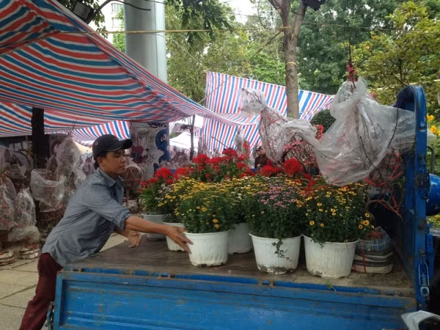 28 tết, chợ hoa Sài Gòn vẫn ngóng khách mua ảnh 12