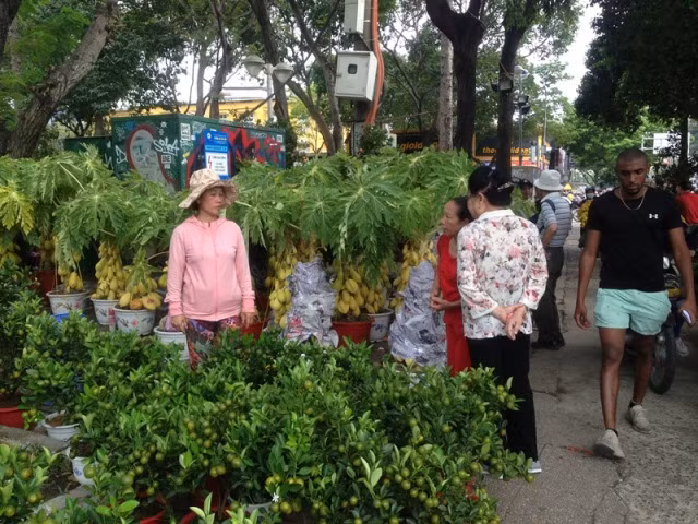 28 tết, chợ hoa Sài Gòn vẫn ngóng khách mua ảnh 11