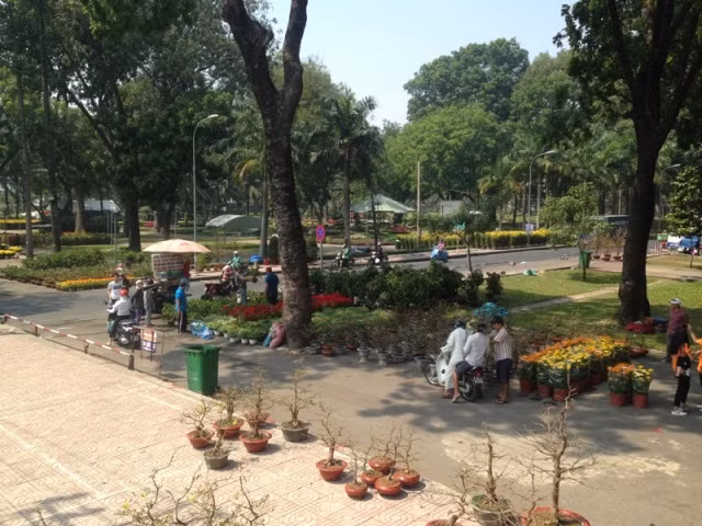 28 tết, chợ hoa Sài Gòn vẫn ngóng khách mua ảnh 5