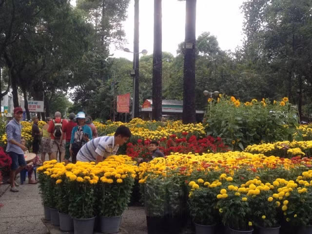 28 tết, chợ hoa Sài Gòn vẫn ngóng khách mua ảnh 14