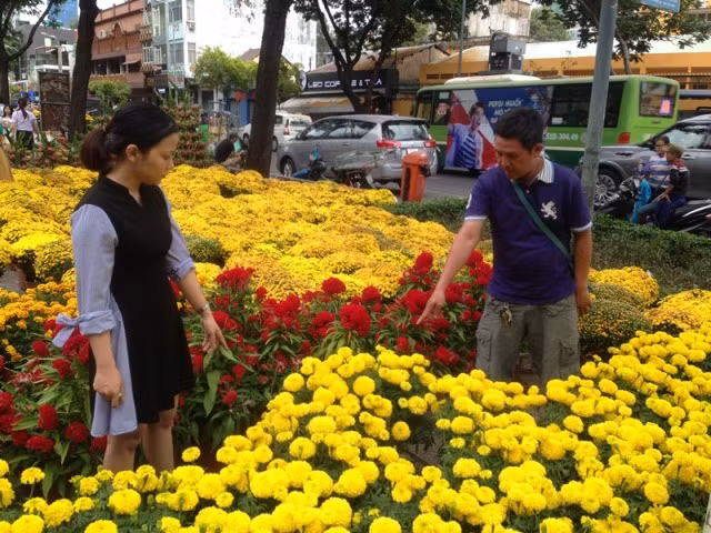 28 tết, chợ hoa Sài Gòn vẫn ngóng khách mua ảnh 8