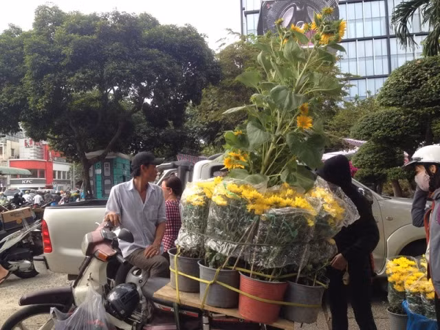 28 tết, chợ hoa Sài Gòn vẫn ngóng khách mua ảnh 13