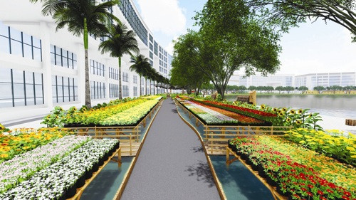 'Hoa đồng gió nội' về hội chợ hoa xuân Phú Mỹ Hưng ảnh 1