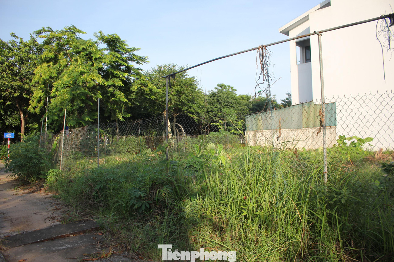 Liên quan đến dự án Foresa Villa, theo công bố của chủ đầu tư, dự án có tổng mức đầu tư 2.850 tỷ đồng gồm các khu chức năng như khu cây xanh, hồ nước, các công trình nhà ở thấp tầng, công trình công cộng, đơn vị ở và công trình hạ tầng xã hội.