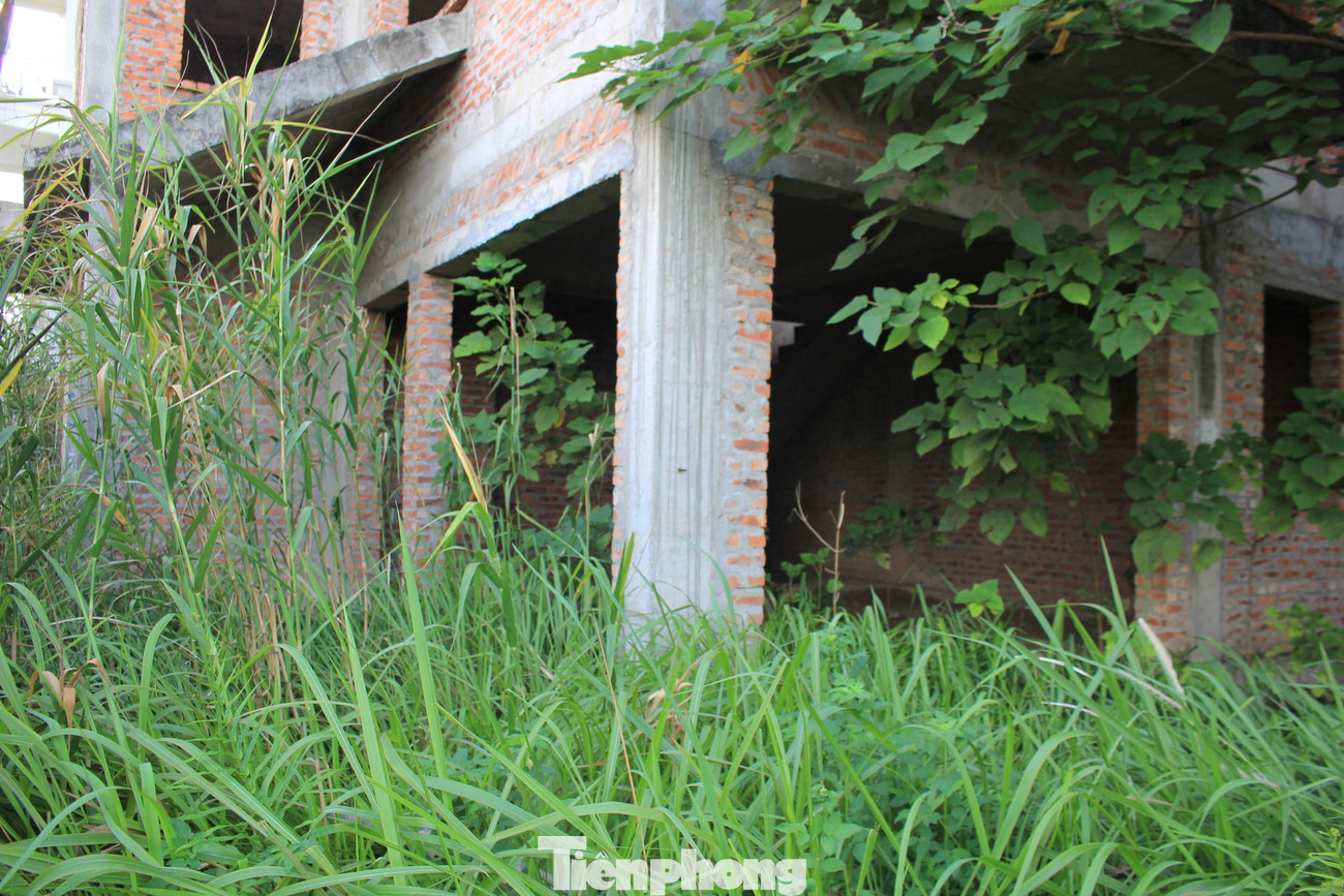 Áp sát với khu biệt thự, liền kề của Tasco là Khu nhà ở cho cán bộ Văn phòng Quốc hội Xuân Phương (Khu đô thị mới Xuân Phương) đã bỏ hoang đến mức cây cỏ mọc thành “rừng”, bịt kín lối vào các căn nhà xây thô. Tuy nhiên, các bất động sản này vẫn được môi giới rao bán ở mức 115 – 160 triệu đồng/m2, tùy vị trí.