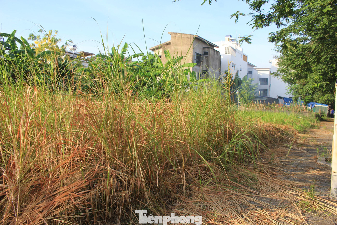 Các tuyến đường nội khu của dự án cũng đang trong tình trạng không người quét dọn, cỏ mọc tràn lan và nhiều nơi trở thành bãi tập kết rác thải sinh hoạt, bốc mùi xú uế.