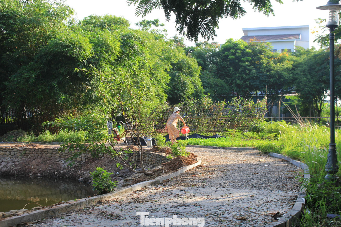 Đường đi trong công viên không người quét dọn, cỏ và rác lẫn lộn. "Ở đây bao nhiêu năm mà tôi chưa dám dẫn cháu ra công viên chơi vì cỏ mọc rậm rạp, có hôm trời mưa xong, nắng hửng lên còn có cả rắn rết bò ra phơi nắng. Mang tiếng là khu đô thị sinh thái mà chỗ này chẳng khác nào khu nhà hoang, tôi mua nhà đã mấy năm nhưng chẳng có hàng xóm vì hai bên nhà tôi đều bỏ hoang bao năm", một cư dân trong Khu đô thị sinh thái Xuân Phương cho biết.