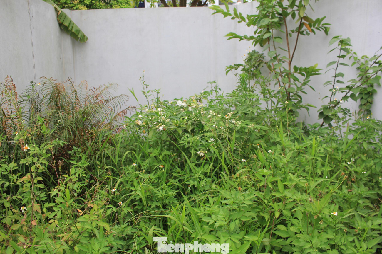 UBND TP Hà Nội vừa có văn bản trả lời kiến nghị của cử tri quận Nam Từ Liêm về việc đề nghị UBND TP xem xét chỉ đạo đẩy nhanh tiến độ triển khai dự án đơn vị ở 2,3 do Công ty Tasco làm chủ đầu tư – dự án Khu đô thị sinh thái Xuân Phương (Foresa Villa) tại phường Xuân Phương đã dừng nhiều năm nay chưa được triển khai, khiến người dân có nhà ở thuộc dự án này không cải tạo, sửa chữa được, dẫn đến nhà xuống cấp, ảnh hưởng đến sức khoẻ, tính mạng của người dân.