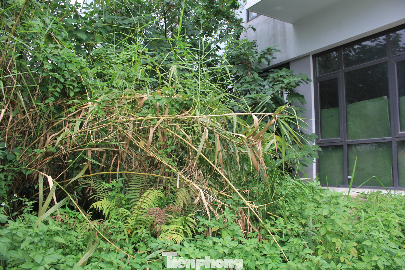 Mặc dù có mức đầu tư hàng nghìn tỷ đồng, trên diện tích rộng lớn nhưng dự án đang hoạt động không hiệu quả khi phần lớn các biệt thự tại đây bị bỏ hoang, cỏ dại mọc um tùm.