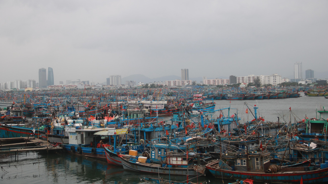 Do ảnh hưởng của bão, từ chiều tối nay (18/12) đến ngày 20/12, khu vực từ Thừa Thiên Huế đến Quảng Ngãi sẽ có mưa vừa, rải rác mưa to, có nơi mưa rất to với tổng lượng mưa phổ biến 100-200mm, có nơi hơn 250mm.