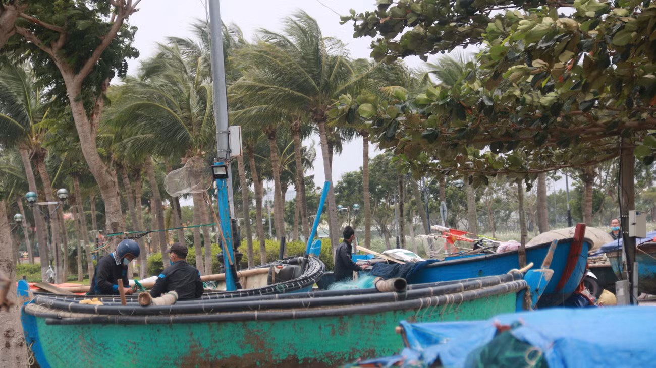 Ngư dân có tàu thuyền nhỏ, thuyền thúng, thuyền gắn máy tại vịnh Mân Thái (quận Sơn Trà) đã chủ động di chuyển, cẩu phương tiện lên bờ, vào sâu vào bên trong các tuyến đường, vỉa hè để đảm bảo an toàn.