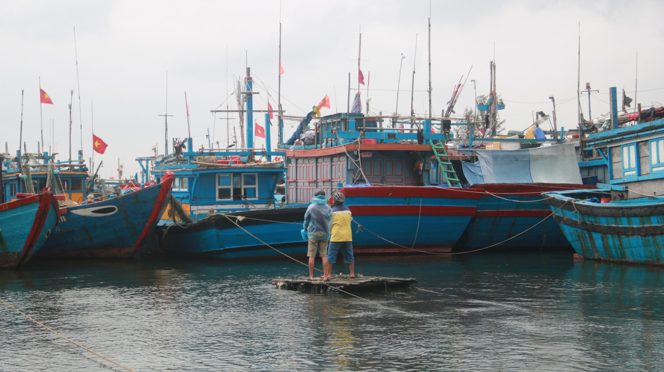 Ngư dân kiểm tra tàu thuyền neo đậu bên trong âu thuyền Thọ Quang.