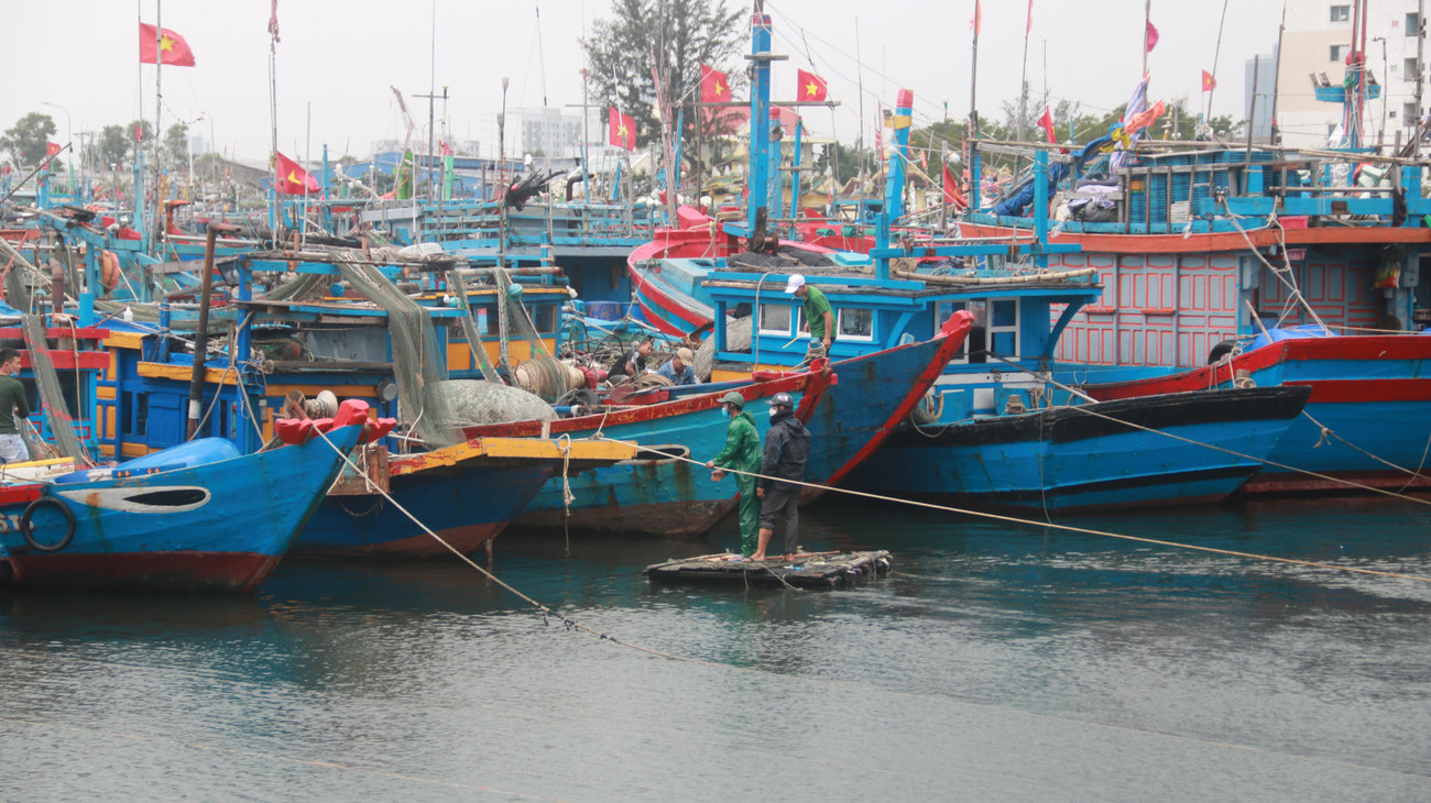 Dự báo đến 7h ngày 19/12, vị trí tâm bão cách bờ biển Phú Yên - Khánh Hòa khoảng 220km về phía đông. Được cảnh báo về mức độ nguy hiểm của siêu bão, ngư dân miền Trung 2 ngày qua đã khẩn trương di chuyển tàu thuyền để chủ động ứng phó.