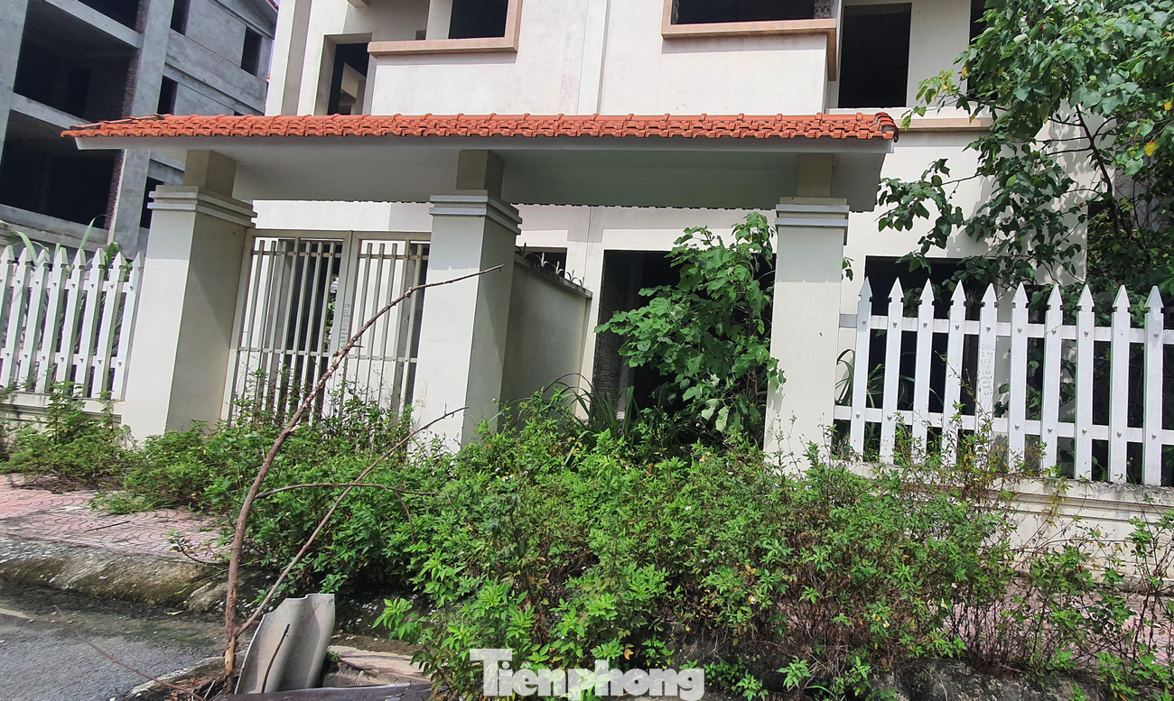 Tại Khu nhà ở Nguyễn Ngọc, Lai Xá (Hoài Đức) nhiều năm qua, các căn biệt thự tại đây luôn trong tình trạng ẩm thấp, không bóng người sinh sống.