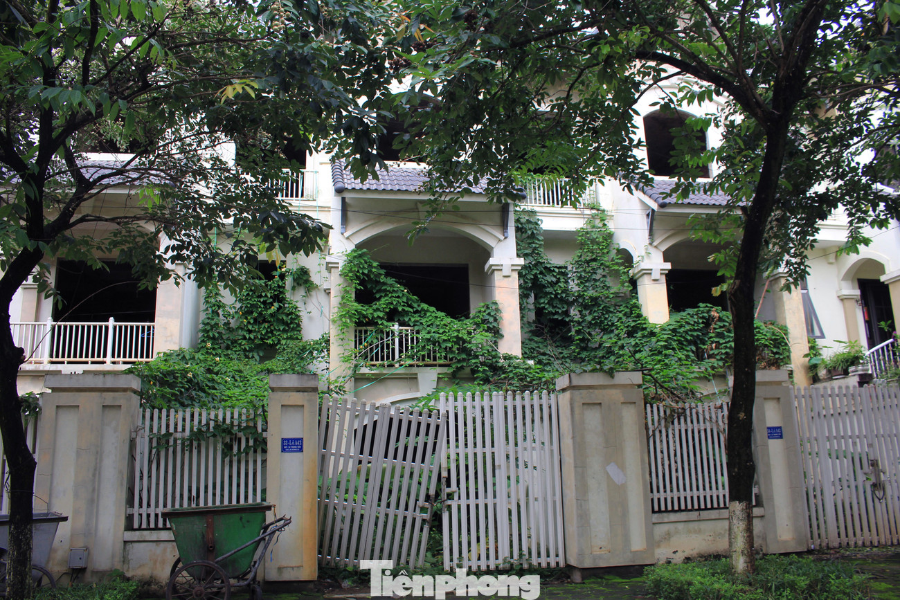 Nhiều căn liền kề tại Khu đô thị trên đường Lê Trọng Tấn cũng gặp phải tình cảnh không người sinh sống, tường nhà bị dây leo bám chằng chịt, cổng ra vào xô đổ vì xuống cấp.