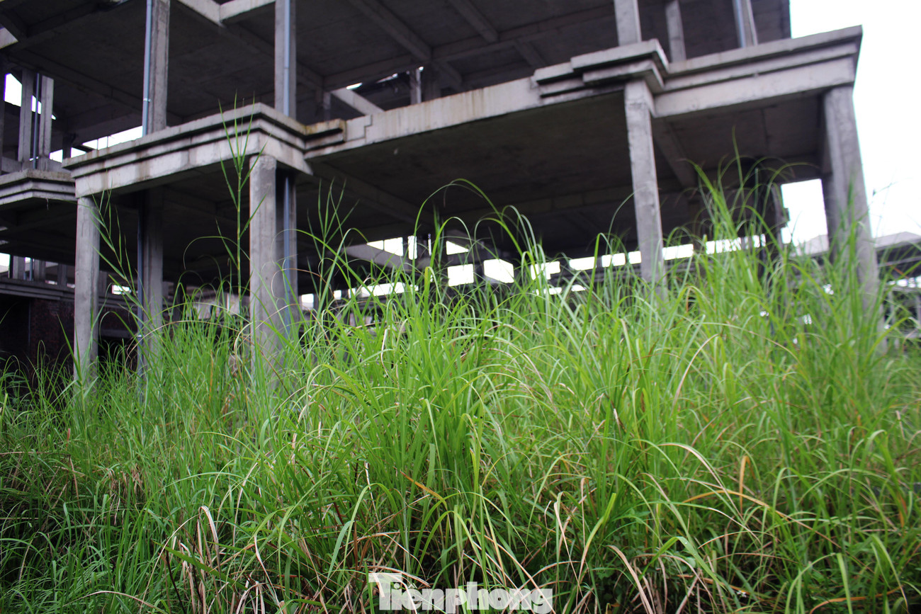 Tình trạng bỏ hoang cũng diễn ra tương tự tại Khu đô thị Vườn Cam (Hoài Đức) do Công ty Cổ phần VinaPol làm chủ đầu tư nhiều năm nay.