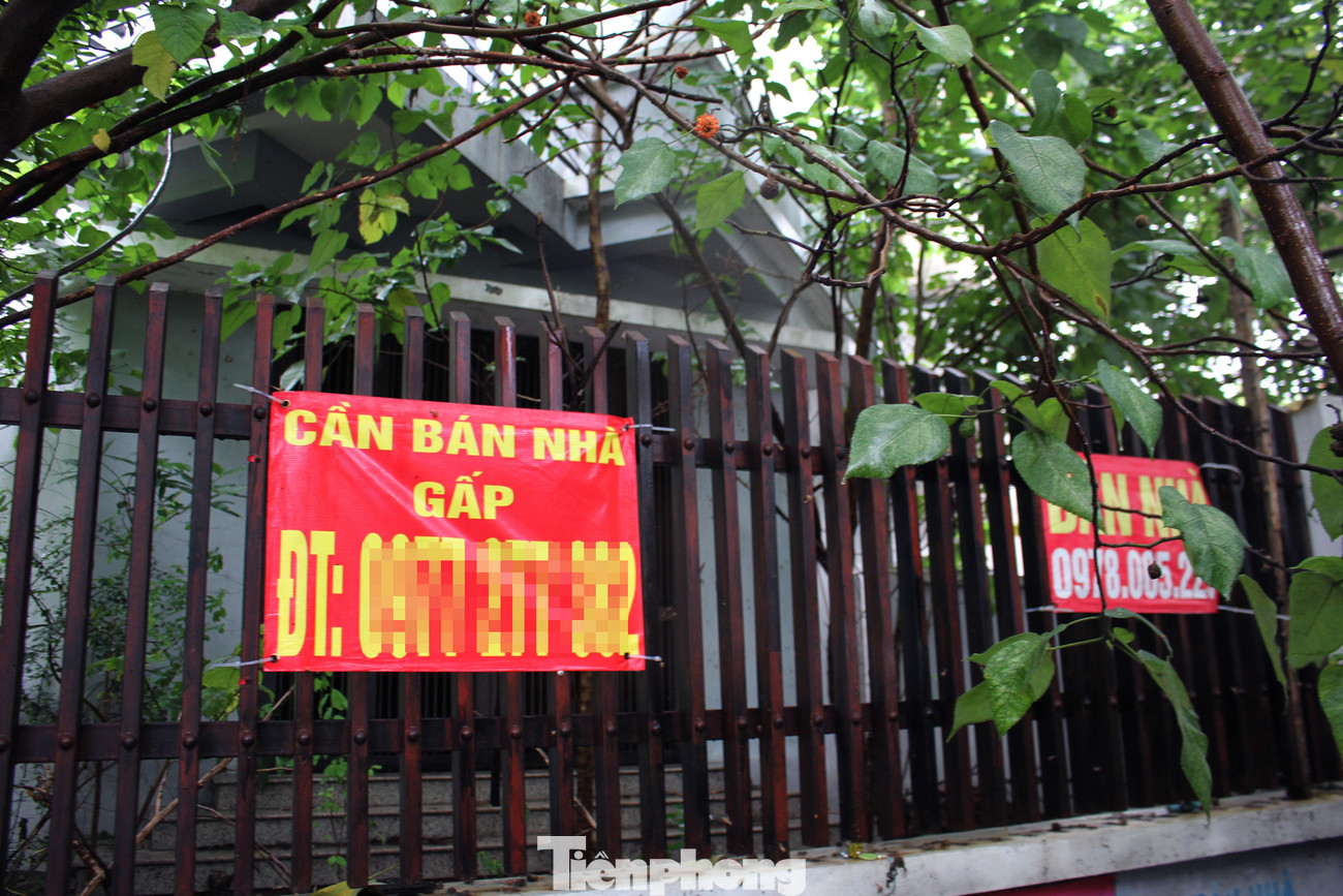 Theo các chuyên gia, ở Việt Nam, nhà đầu tư hay chủ đầu tư có kinh nghiệm không nhiều, nên dẫn đến việc đưa ra dự án không đúng thời điểm và trở thành “dự án chết”. Trong khi đó, trao đổi với Tiền Phong, ông Lê Hoàng Châu, Chủ tịch Hiệp hội Bất động sản TPHCM từng cho biết, trong phân khúc đất nền, người mua phần nhiều là nhà đầu tư lướt sóng, nên mới có tình trạng dự án đã xong nhưng bị bỏ hoang.