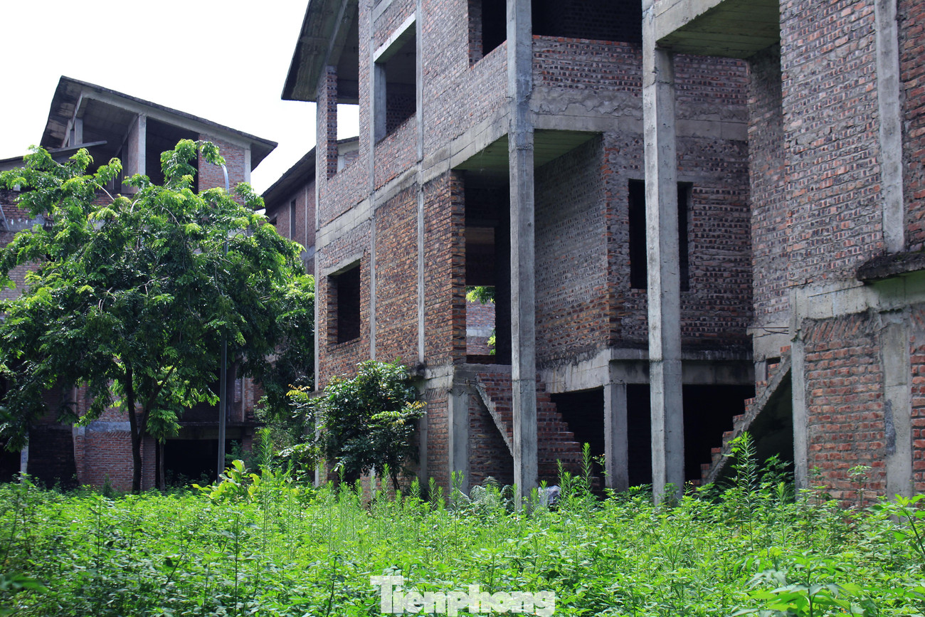 Theo tìm hiểu, Khu biệt thự Hoa Phượng do 3 công ty bao gồm Công ty TNHH Ứng dụng và Phát triển Công nghệ AVN, Công ty Kinh doanh Vật tư Thiết bị và Công ty CP Lý Hùng làm chủ đầu tư. Mỗi công ty đầu tư một lô trong 3 lô đất của dự án.